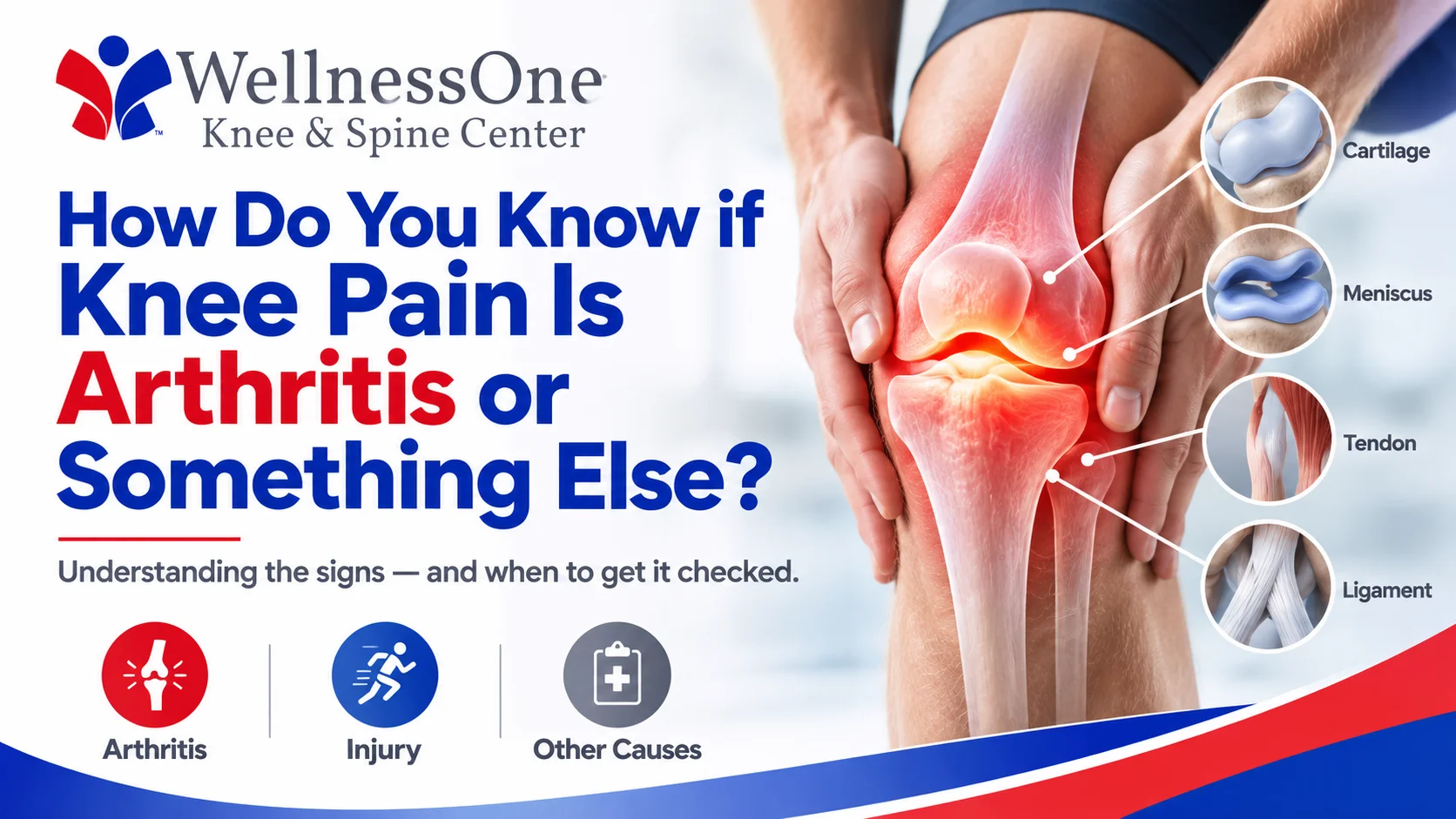 Infographic from WellnessOne Knee and Spine Center titled How Do You Know if Knee Pain Is Arthritis or Something Else, featuring an anatomical illustration of a knee joint with labeled structures including cartilage, meniscus, tendon, and ligament, along with icons representing arthritis, injury, and other causes